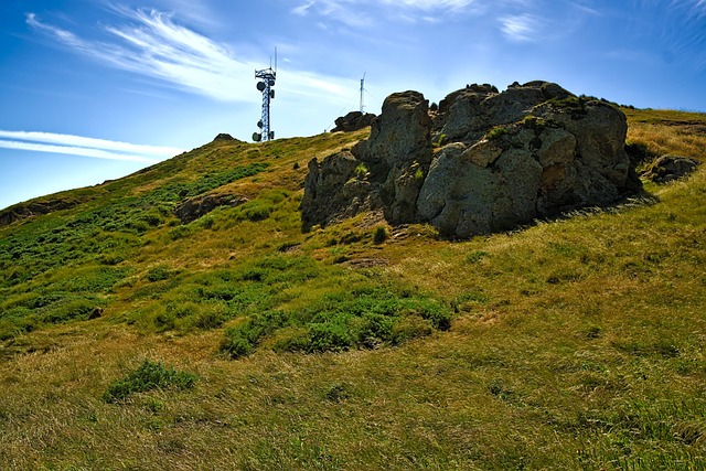 lease renewals for land with telecoms mast