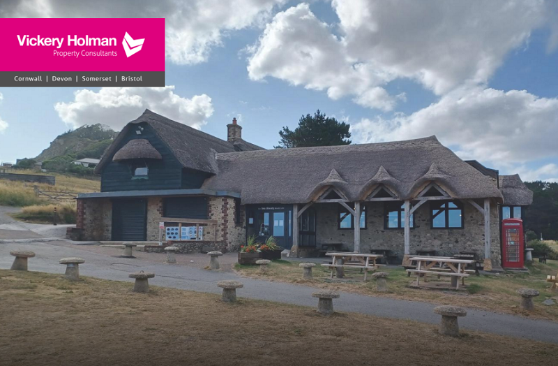 sea shanty cafe branscombe to let
