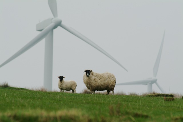 wind turbines and business rates