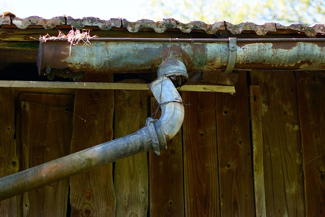Access Disputes for Repairs: Legal Rights & Surveyor Help